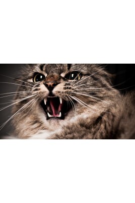se-ps-test-product-1-se-hs-code
