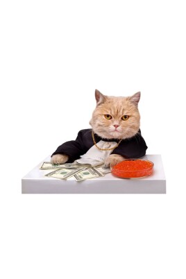 es-ps-test-product-high-price-es-hs-code-origin